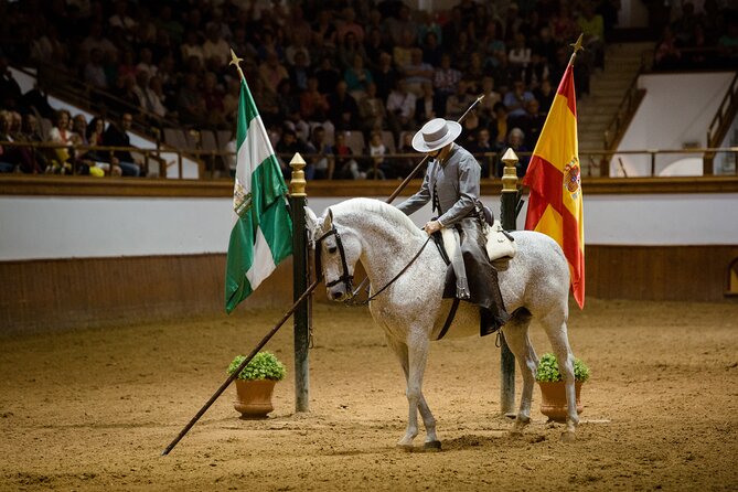 Andalusian Horses Dance Show - Why the horses are the real stars