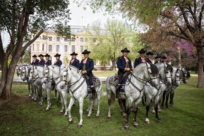 Andalusian Horses Dance Show - Practical booking advice for a smoother visit