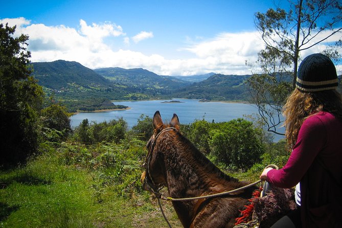 Andes Mountains Horseback Riding - Half Day - Leaving Bogotá for the Eastern Mountains