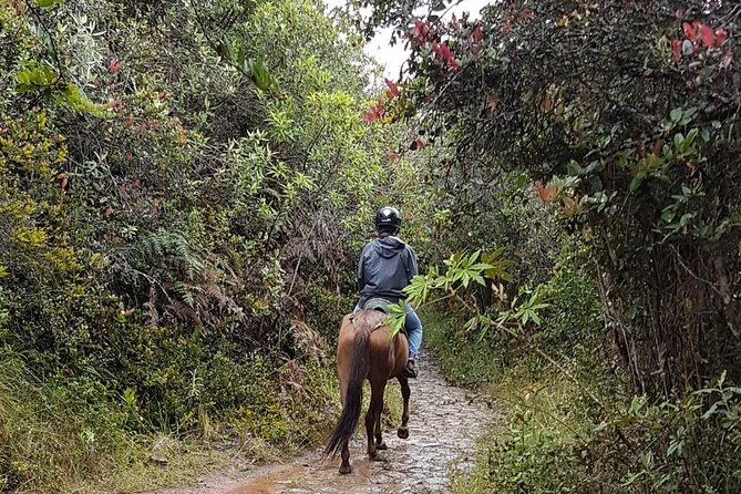 Andes Mountains Horseback Riding - Half Day - Riding farms, trails, and open fields