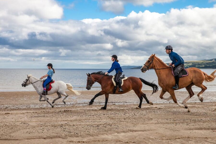 Antalya: Guided ATV and Horse Riding Safari in Lara - Practical tips for a smoother ride