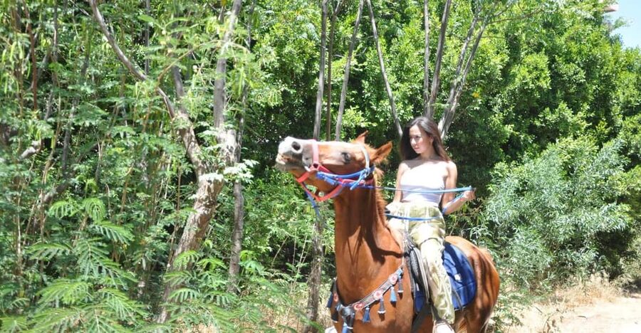 Antalya: Guided ATV and Horse Riding Safari in Lara - The forest ride beneath Antalya’s tall trees