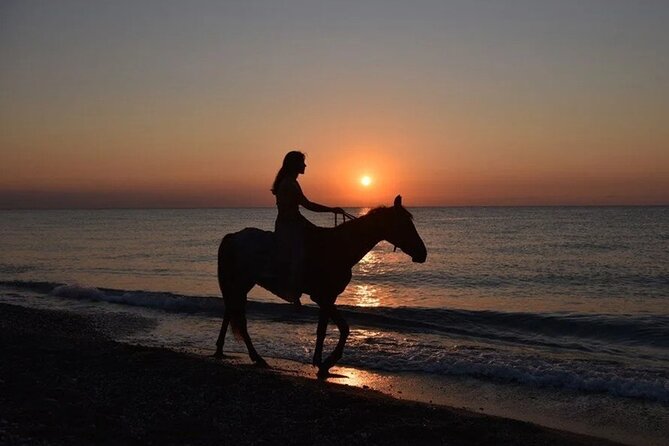Antalya Horse Riding On Beach And Through The Forests For 2 Hours - What the $60 Antalya ride is meant to be
