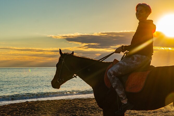 Antalya Horse Riding On Beach And Through The Forests For 2 Hours - Meeting the horses near Antalya