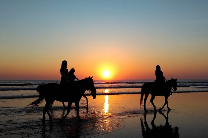 Antalya Horse Riding On Beach And Through The Forests For 2 Hours - Who will get the most from this ride