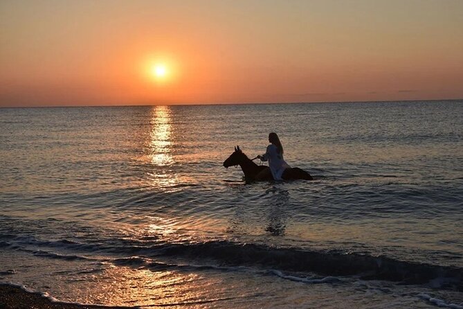 Antalya Horse Riding On Beach And Through The Forests For 2 Hours - Through the pine forest first