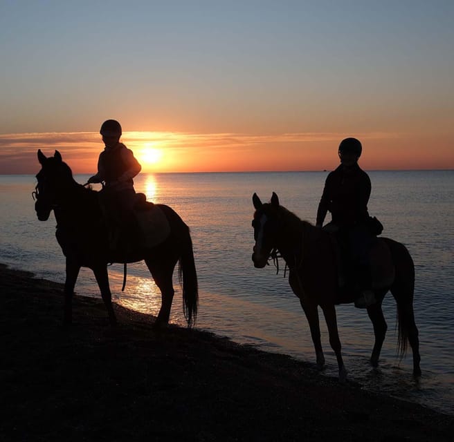 Antalya: Horse Riding on Sea and in the Forest - The horses and the people guiding you