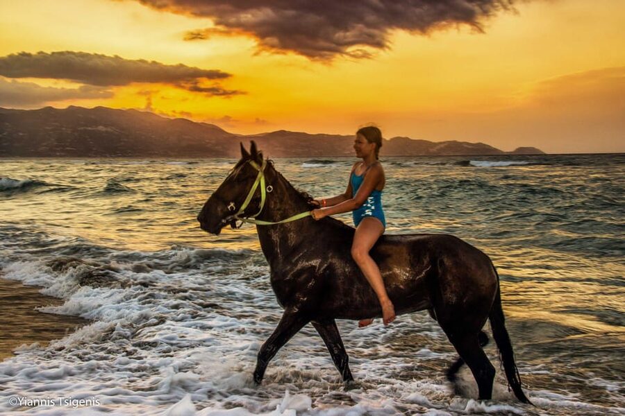 Antalya: Lara Beach & Forrest Horse Riding Safari - What this Antalya horse safari is really like