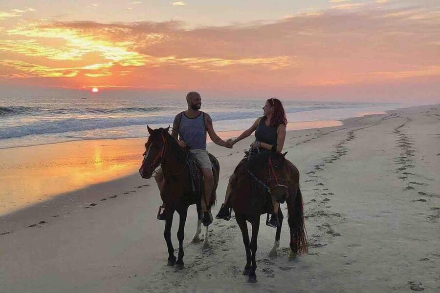 Antalya: Lara Beach & Forrest Horse Riding Safari - The forest and farm route