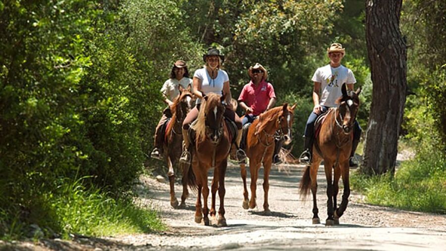 Antalya: Lara Beach & Forrest Horse Riding Safari - Guides, language, and the personal touch