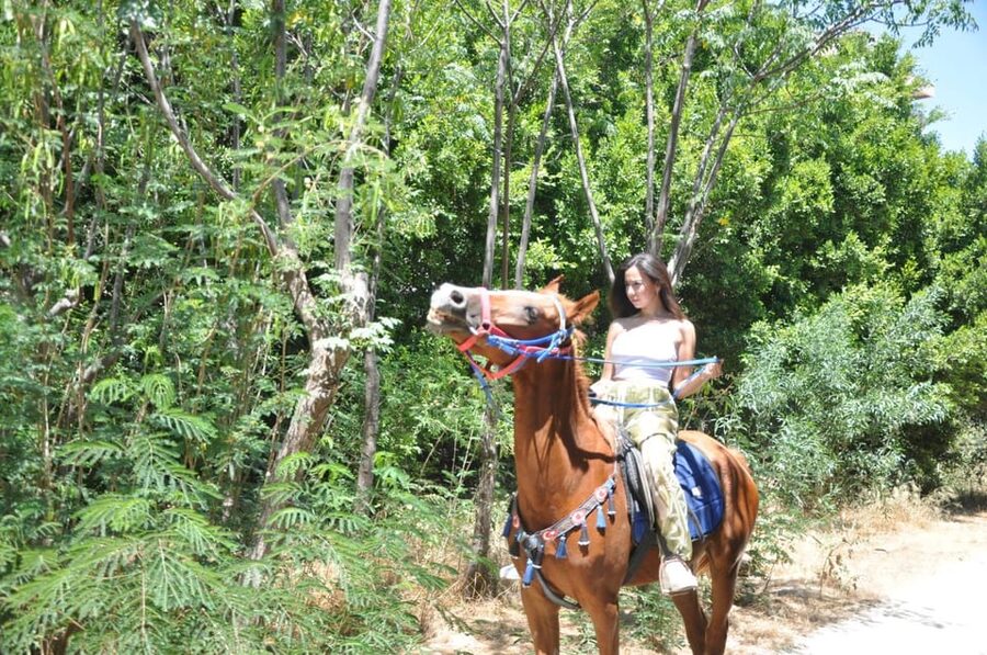 Antalya: Lara Beach & Forrest Horse Riding Safari - Who should book this ride?