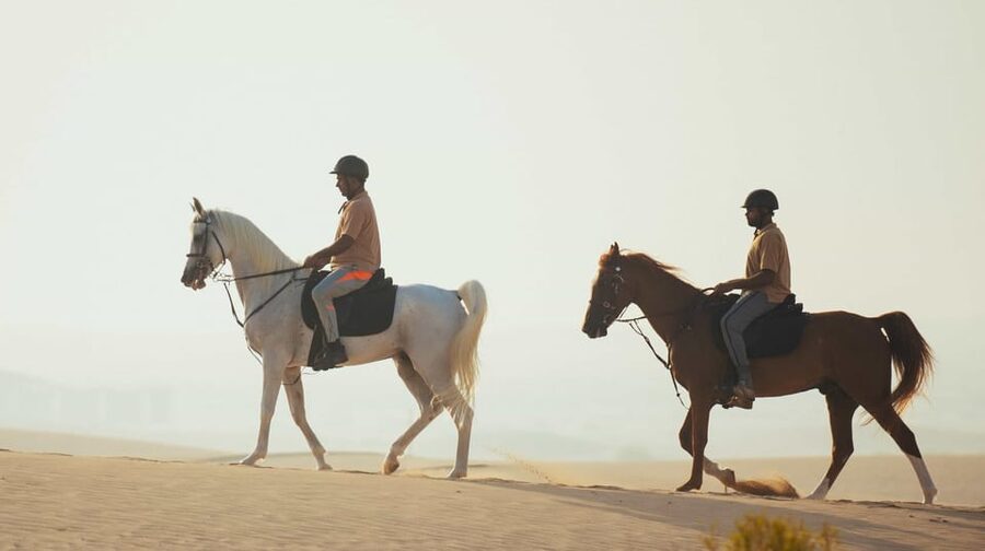Antalya: Lara Beach & Forrest Horse Riding Safari - Practical details that affect your day
