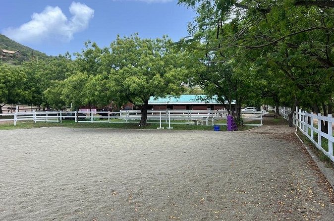 Antigua Horse Ride and Swim - The ride from SpringHill Stables to the shore