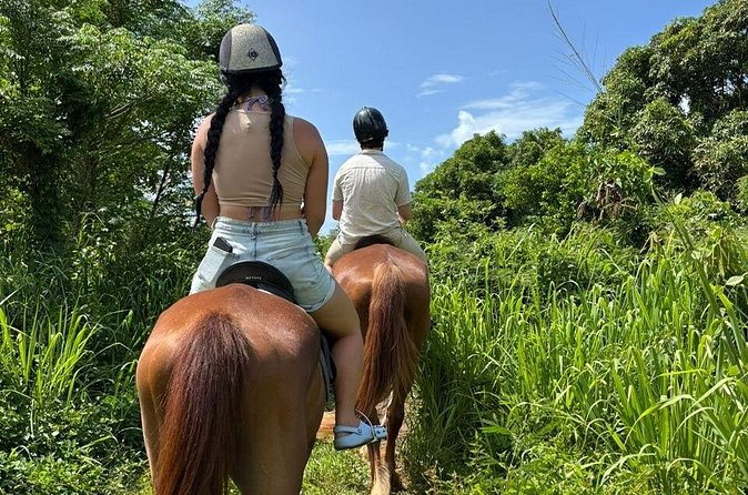 Antigua Horse Ride and Swim - Timing, group size, and practical planning