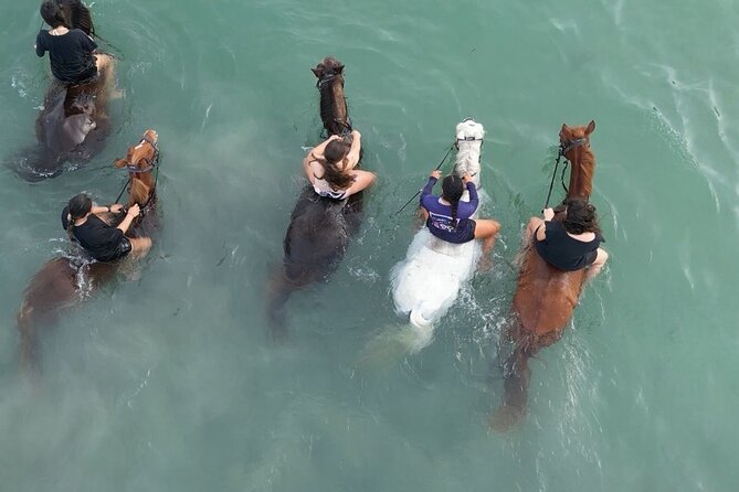 Antigua Horse Ride and Swim - What makes the private beach stop special