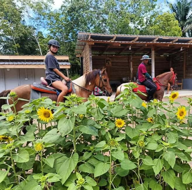 Ao Nang: Horse Riding Tour and kayaking clongrood - How the $77 price works for you