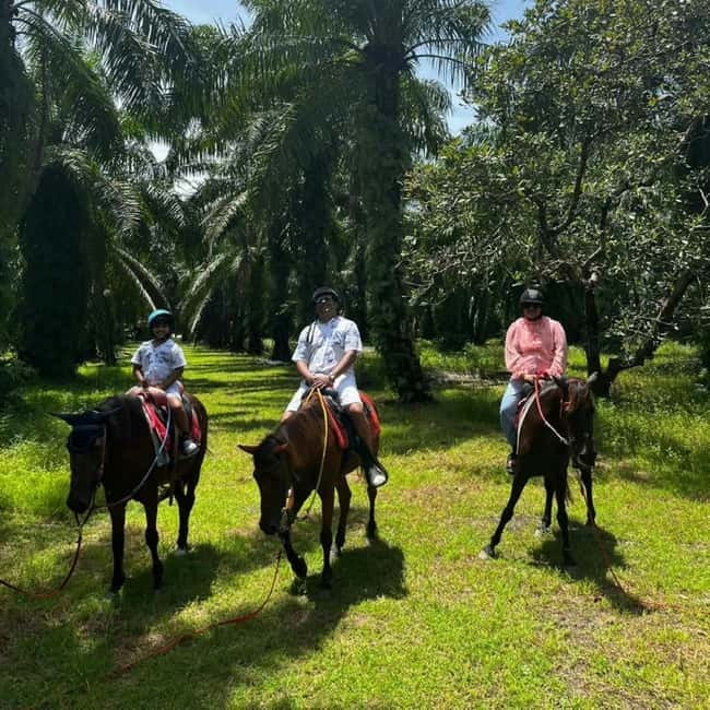 Ao Nang: Horse Riding Tour and kayaking clongrood - Should you book the horse ride and Khlong Root kayak tour?