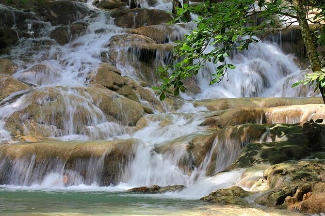 Aqua Fun Tours Dunns Falls, River Tubing and Horse Back - The guides are part of the experience
