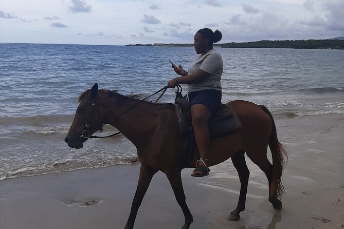 Aqua Fun Tours Dunns Falls, River Tubing and Horse Back - Who will get the most from this day