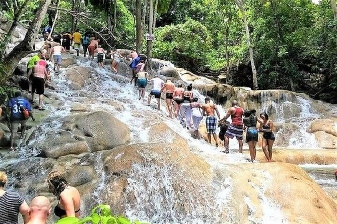 Aqua Fun Tours Dunns Falls, River Tubing and Horse Back - Is $170 a fair price?