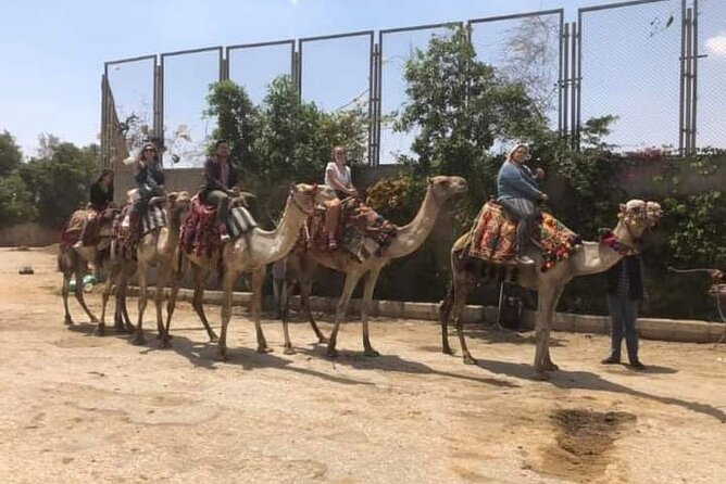 Arabian Nights immersion Pyramids Horse,camel Ride,Bedouin Tea - Safety, comfort, and who will enjoy it