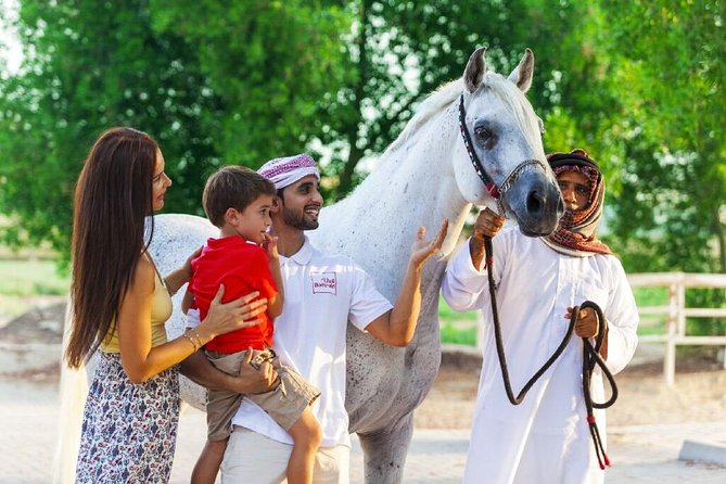 Arabian Sunset Horse Riding & Stable Tour - Key points to know before you book