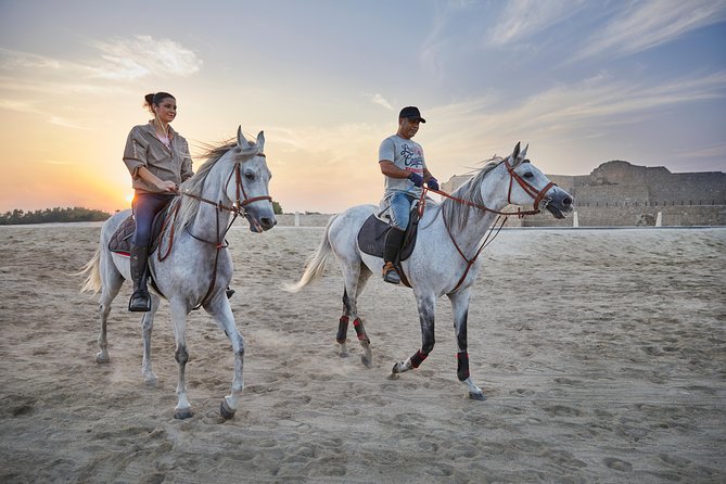 Arabian Sunset Horse Riding & Stable Tour - Riding into Bahrain’s golden hour