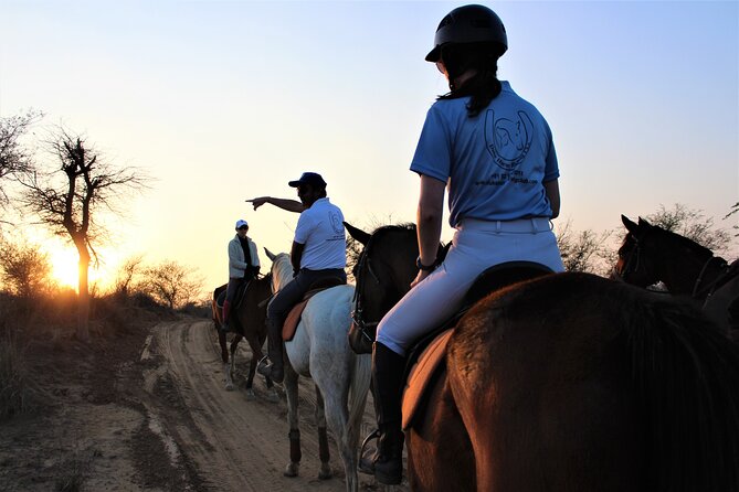 Aravali Trail Experience( Jungle Safari Forest area)- Horseback Riding - Key points to know before you ride