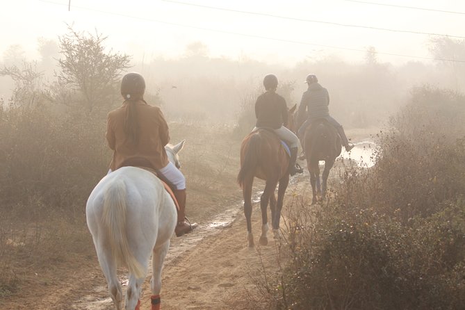 Aravali Trail Experience( Jungle Safari Forest area)- Horseback Riding - Following the Aravalli trail
