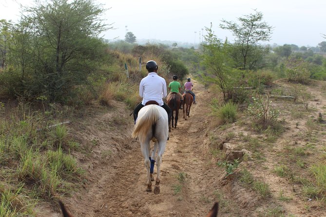 Aravali Trail Experience( Jungle Safari Forest area)- Horseback Riding - Comfort, safety, and the rough edges