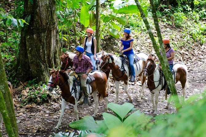 Arenal Volcano River Horseback Riding Tour - Private Farm Trails Near Arenal