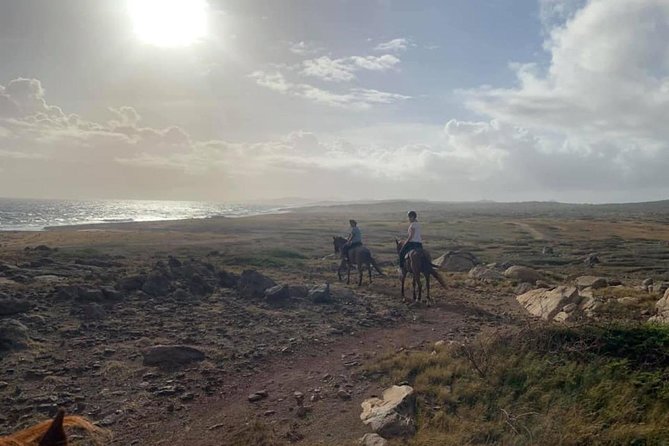 Aruba 2,5 hrs Horseback Riding For Advanced Riders - Is $214 a fair price?