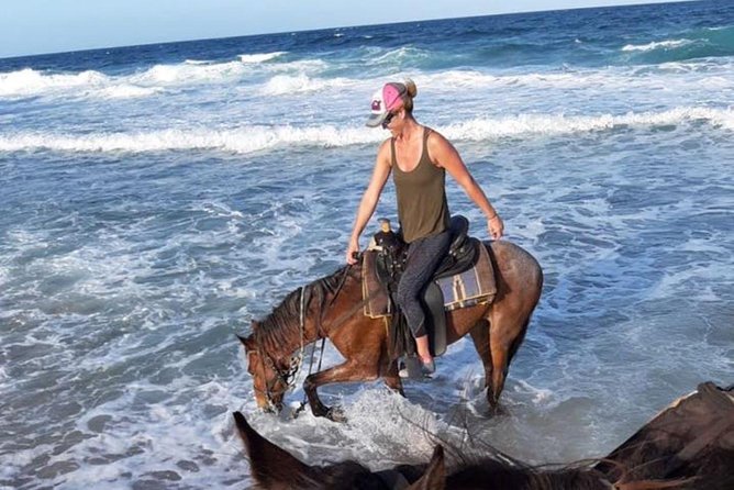 Aruba 2,5 hrs Horseback Riding For Advanced Riders - Booking, pickup, and cancellation details
