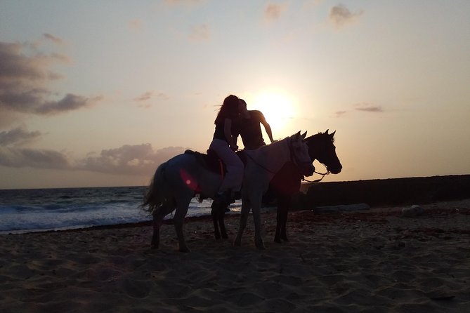 Aruba Beach Ecological Horseback Ride - Is $95 a fair price?
