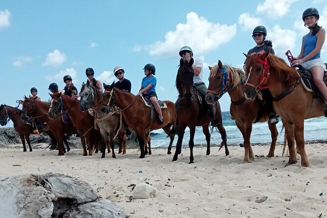 Aruba Beach Ecological Horseback Ride - Who should book this ride