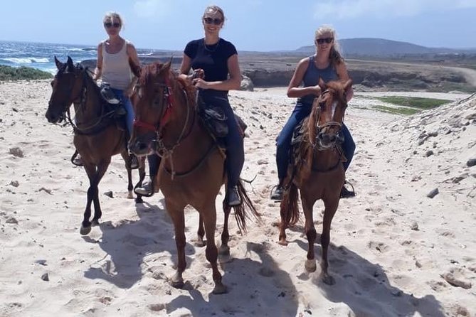 Aruba Countryside: Horseback Adventure to Urirama Cove - Key points to know before you book