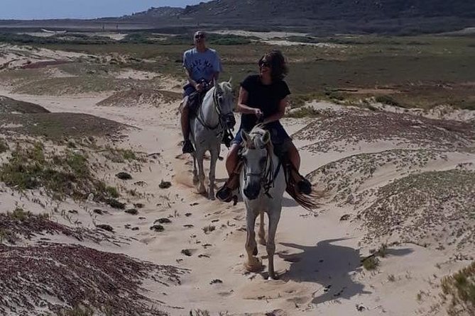 Aruba Countryside: Horseback Adventure to Urirama Cove - Pickup, timing, and the small-group advantage