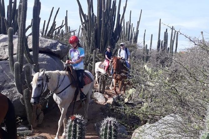 Aruba Countryside: Horseback Adventure to Urirama Cove - What the $115 price includes