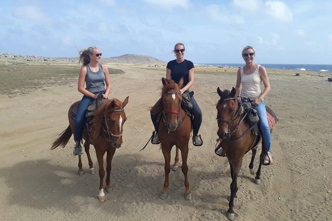 Aruba Horseback Riding Tour For Advanced Riders - From Rancho Notorious into Aruba’s dry interior