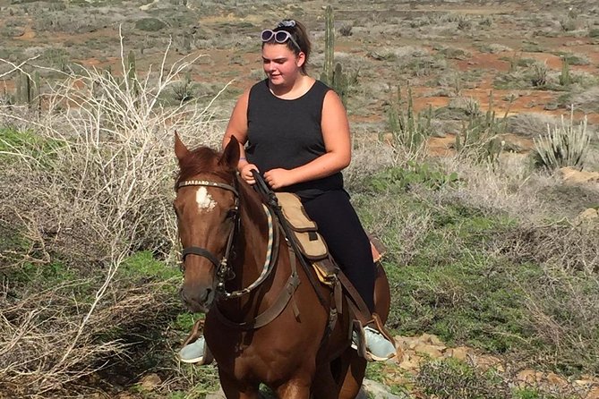 Aruba Horseback Riding Tour For Advanced Riders - What $125 buys you