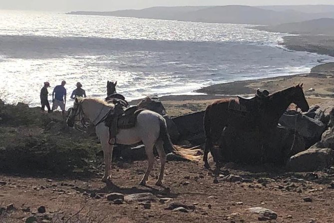 Aruba Horseback Riding Tour For Advanced Riders - Practical preparation for the saddle
