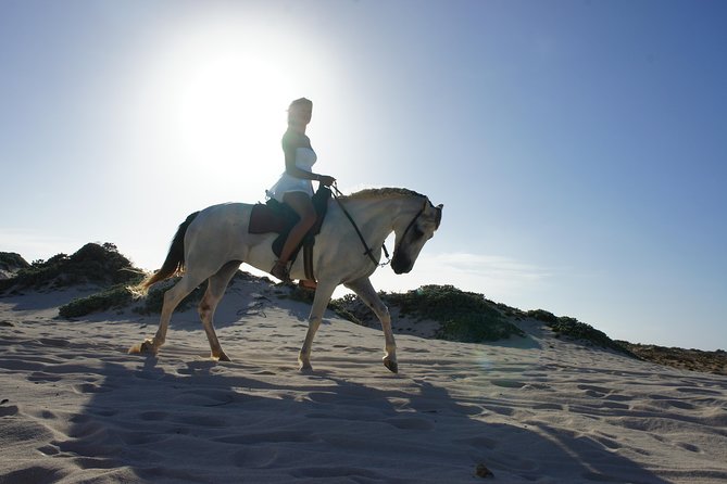 Aruba Horseback Riding Tour For Advanced Riders - Who should book this ride?