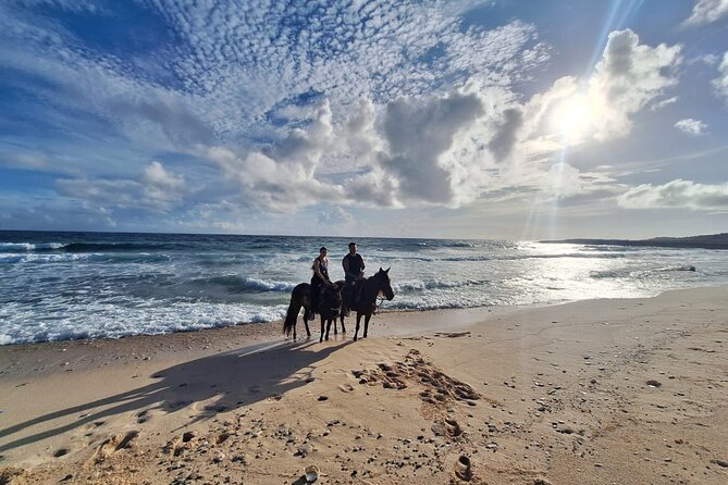Aruba Horseback Riding Tour For Advanced Riders - The big issue: advanced on paper, mixed in practice