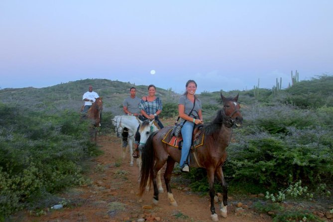 Aruba Horseback Riding Tour to Hidden Lagoon - Why this short ride is worth your time