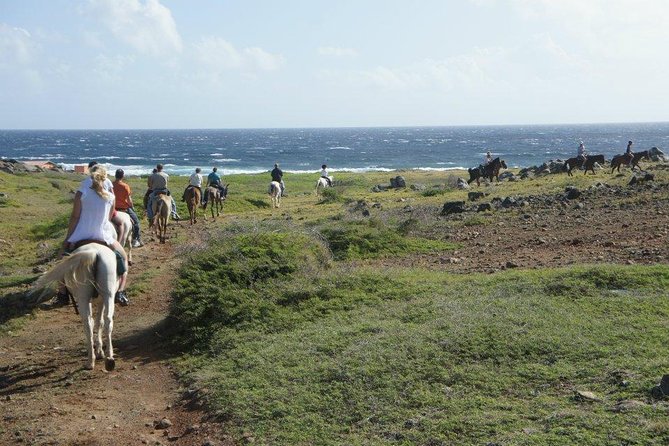 Aruba Horseback Riding Tour to Hidden Lagoon - What makes the lagoon stop special