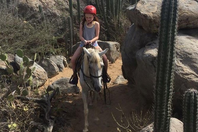 Aruba Horseback Riding Tour to Hidden Lagoon - Morning or afternoon: choosing the better departure