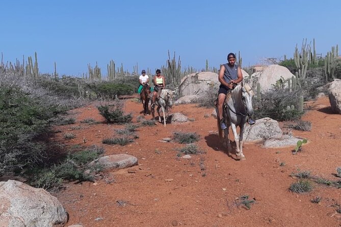 Aruba Horseback Riding Tour to Hidden Lagoon - Small groups make a real difference