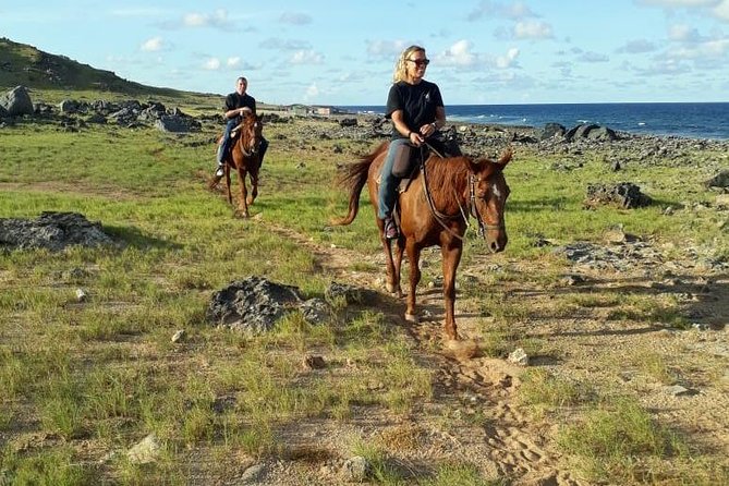 Aruba Horseback Riding Tour to Hidden Lagoon - Is $105 a fair price?