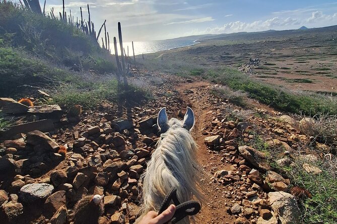 Aruba Horseback Riding Tour to Hidden Lagoon - Gentle horses, steady instruction, and the pace of the ride