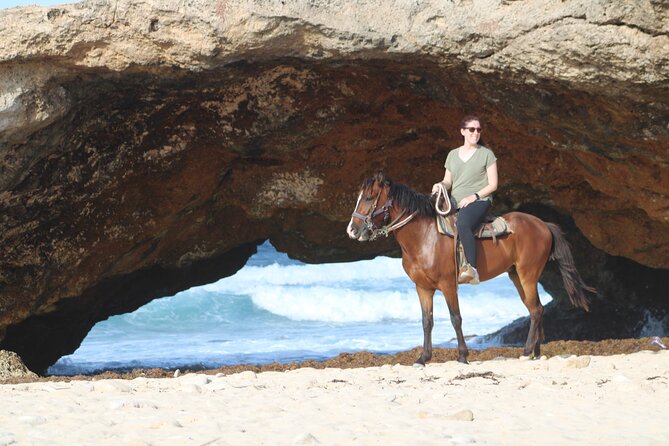 Aruba North Coastline: Small-Group Horseback Riding Tour - Is the $100 price fair?